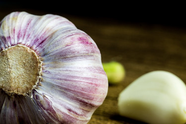 Similar image 13028572