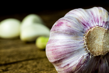 Similar image 13028573