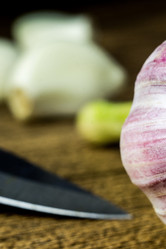 Similar image 13028574