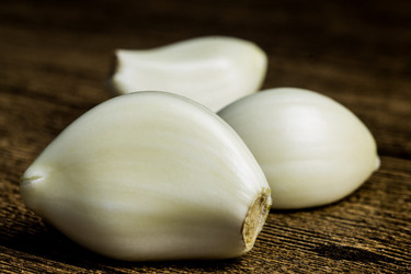 Similar image 13028575