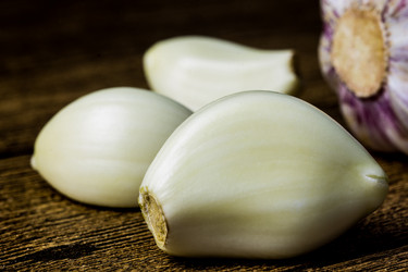 Similar image 13028576