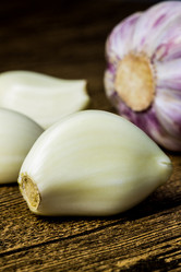 Similar image 13028577