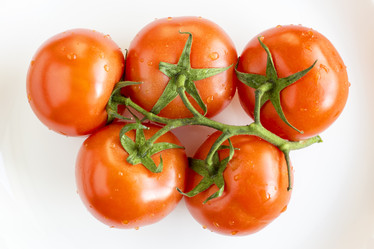 Similar image 13001932