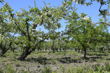 Similar image 13032825