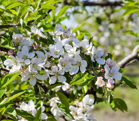 Similar image 13032845