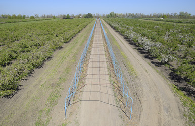 Similar image 13059279