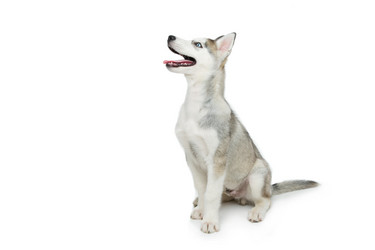 Similar image 13030258