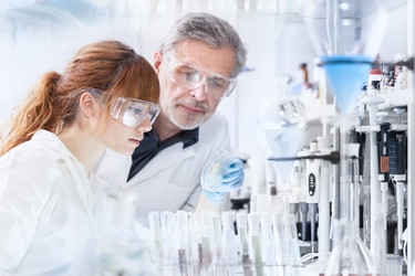 Similar image 13046448