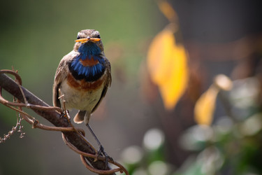 Similar image 13024084