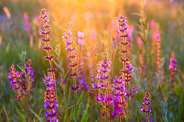 Similar image 13024085