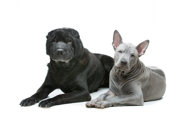 Similar image 13036117