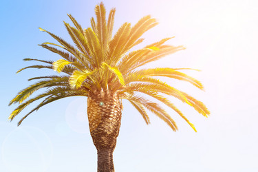 Similar image 13005083