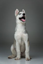 Similar image 13030271