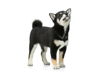 Similar image 13036121