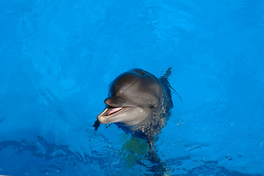 Similar image 13001912