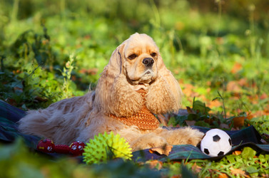 Similar image 13002684