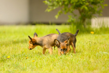 Similar image 13002685