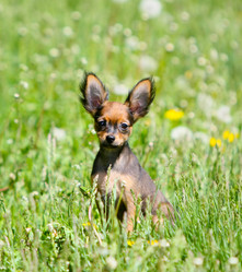 Similar image 13002718