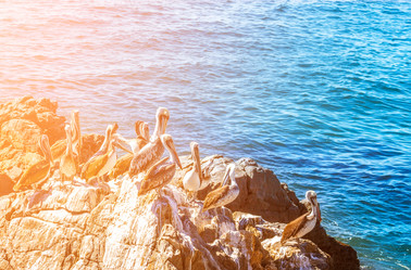 Similar image 13005114