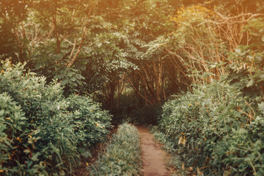 Similar image 13033836