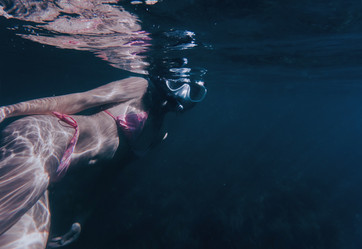 Similar image 13033861