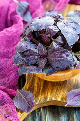 Similar image 13011602