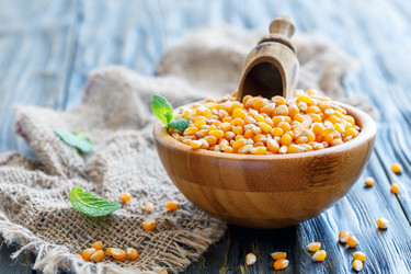 Similar image 13011612