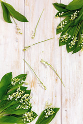 Similar image 13011613