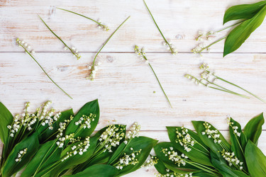 Similar image 13011615