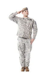 Similar image 13036711