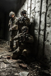 Similar image 13036862