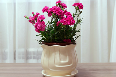 Similar image 13028927