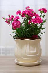 Similar image 13028928