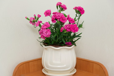 Similar image 13028949