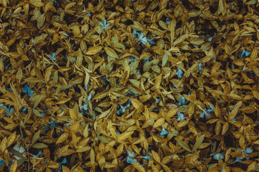 Similar image 13002302