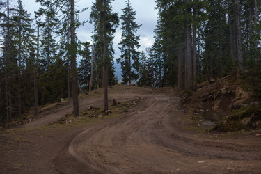 Similar image 13002304