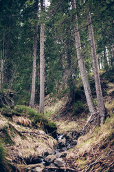 Similar image 13002305