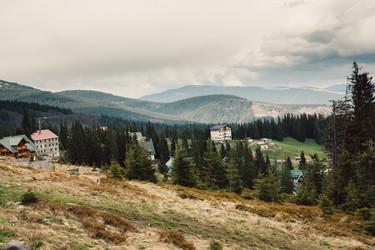 Similar image 13002306