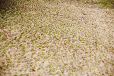 Similar image 13002310