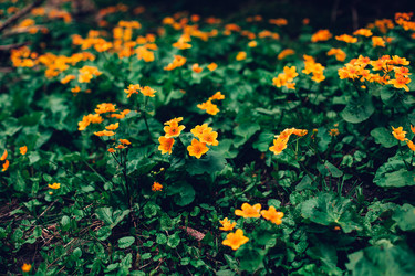 Similar image 13002311