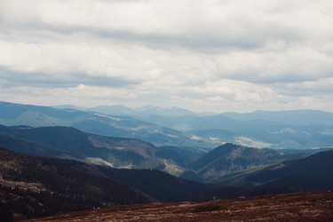 Similar image 13002315