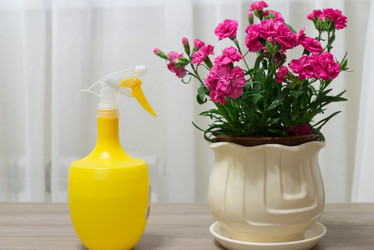 Similar image 13028951