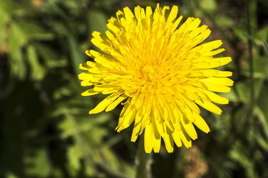 Similar image 13002281