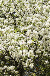 Similar image 13002298