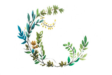 Similar image 13013906