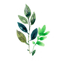 Similar image 13013925