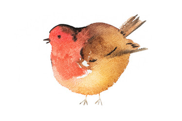 Similar image 13013965