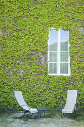 Similar image 13011987