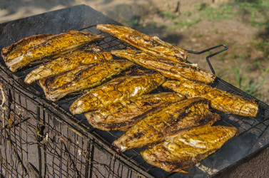 Similar image 13002487