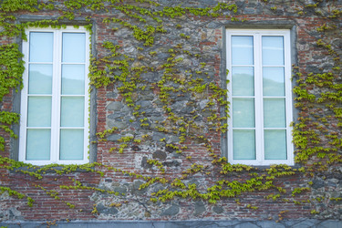 Similar image 13011990